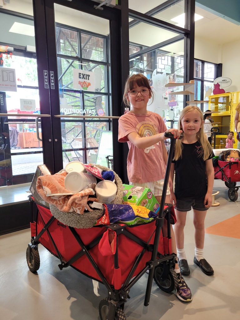 ElPasoAnimalSvc's tweet photo. Stella didn't want gifts this year for her 8th birthday. Instead, Stella raised $350 &amp; went on a #CatShoppingSpree to #Donate items for the #CATZ &amp; shelter! Grandma also #HandKnitted cat scent mats to be sent home with adopted cats. A million high fives for the #GenerousDonation! https://t.co/UYZKyGH2Vx