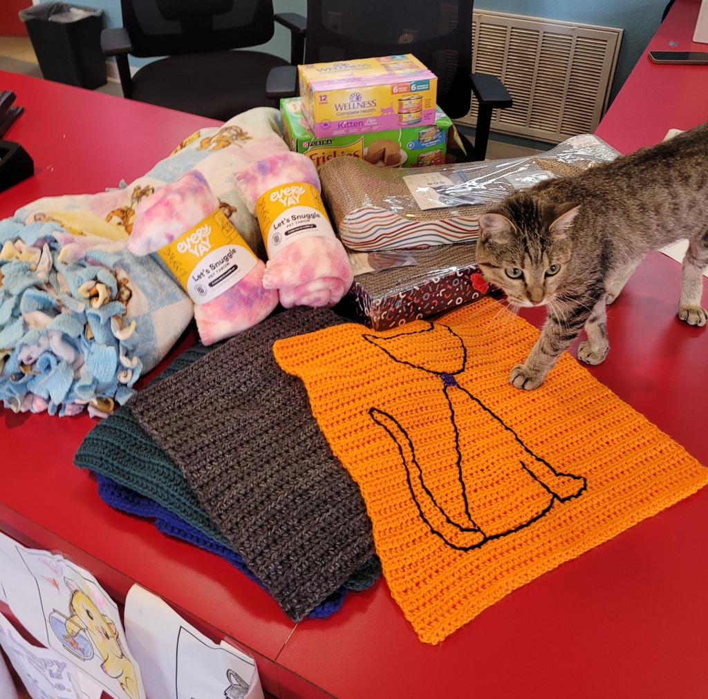 ElPasoAnimalSvc's tweet photo. Stella didn't want gifts this year for her 8th birthday. Instead, Stella raised $350 &amp; went on a #CatShoppingSpree to #Donate items for the #CATZ &amp; shelter! Grandma also #HandKnitted cat scent mats to be sent home with adopted cats. A million high fives for the #GenerousDonation! https://t.co/UYZKyGH2Vx