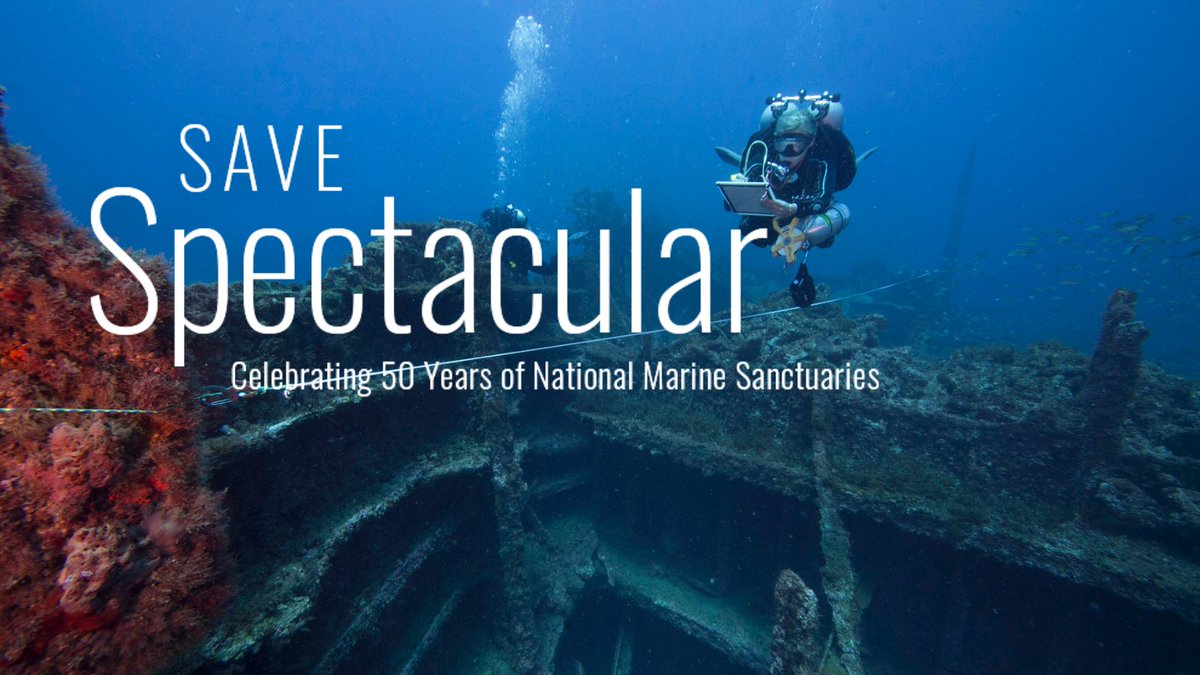 marinesanctuary's tweet photo. What better sanctuary to feature for the #SaveSpectacular Saturday of our 50th anniversary week, than the one that started it all? @MonitorNMS was the first sanctuary to be designated to protect the wreck of the #USSMonitor and honor our #MaritimeHeritage. https://t.co/2Lzck1PN8c https://t.co/m8fEnjGGNj