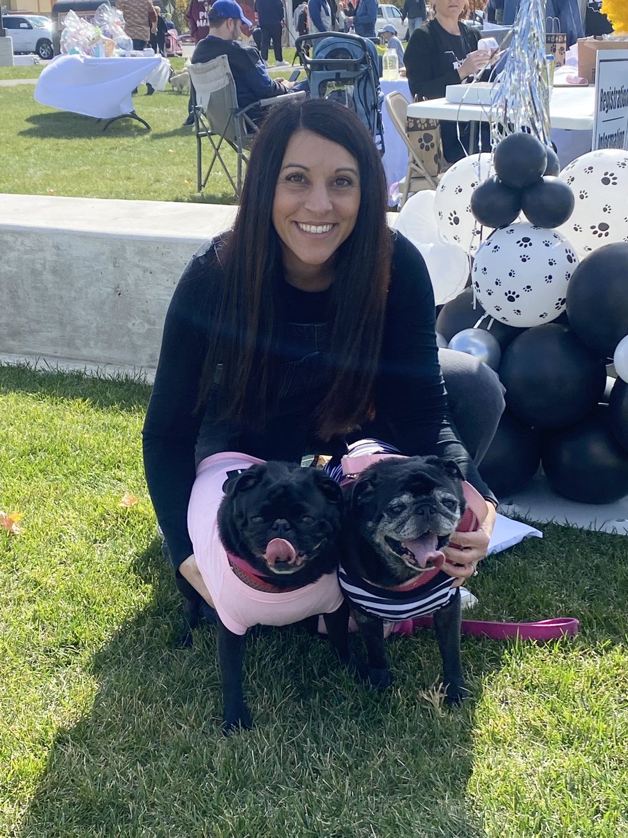 AndrewScarmack's tweet photo. Piper and Harley enjoying the Mahoning Valley Pug Fest today!! @JennScarmack https://t.co/J7Df89ocd8