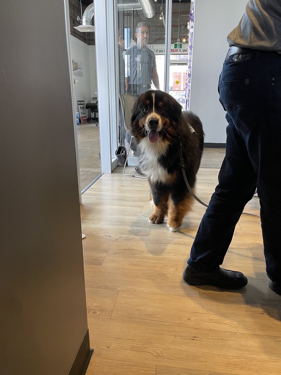 CpsMegs's tweet photo. This training couldn’t of come at a better time given the events that have happened in the last month. Thankful to learn from the best leaders in ⁦@BootsOTGround⁩ who have lived experience on trauma and resiliency. Also, how cute is Tucker ?! 🐶💙 https://t.co/HE3bWb9vbI
