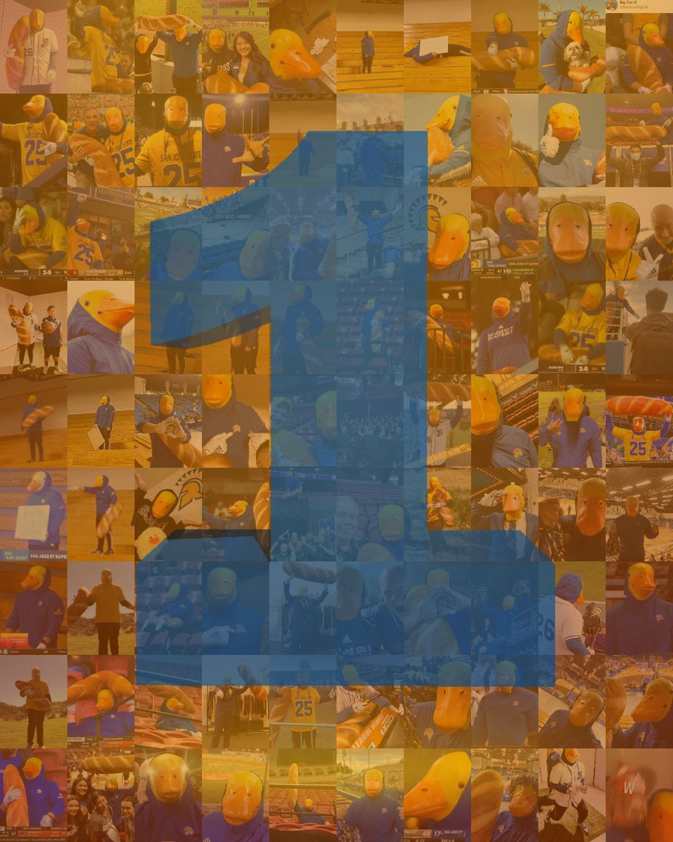 SJSUDuck's tweet photo. A whole year of BreadGettin has finally passed…

I’d like to say thanks to all of you for being incredible throughout this past year. Plenty more Bread to chase down the road! Love y’all!

•••
Tags: #SJSU #SanJoseState #SJSUDuck #SpartanUp #SanJoseStateUniversity #GetTheBread https://t.co/L62CbUJuRa