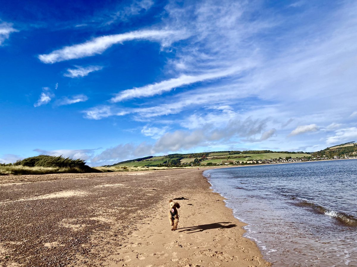 Karen Gebbie-Smith tweet media