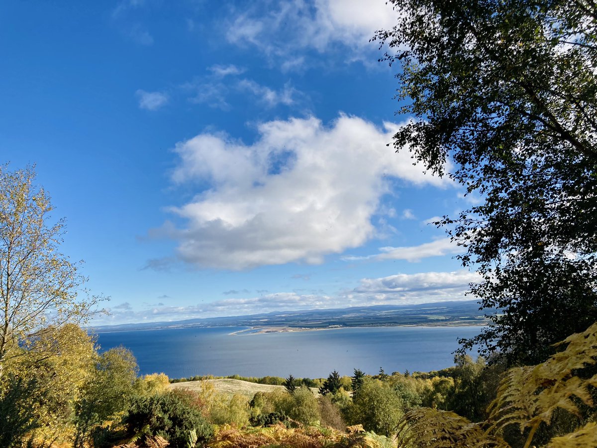 Karen Gebbie-Smith tweet media