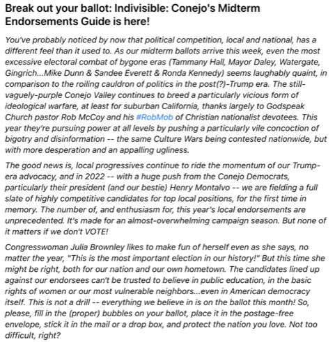IndivConejo's tweet photo. The @IndivConejo Midterm Endorsements Guide has dropped! Intro is here; DM us if you want to receive the full document! https://t.co/ynvJq9c8er