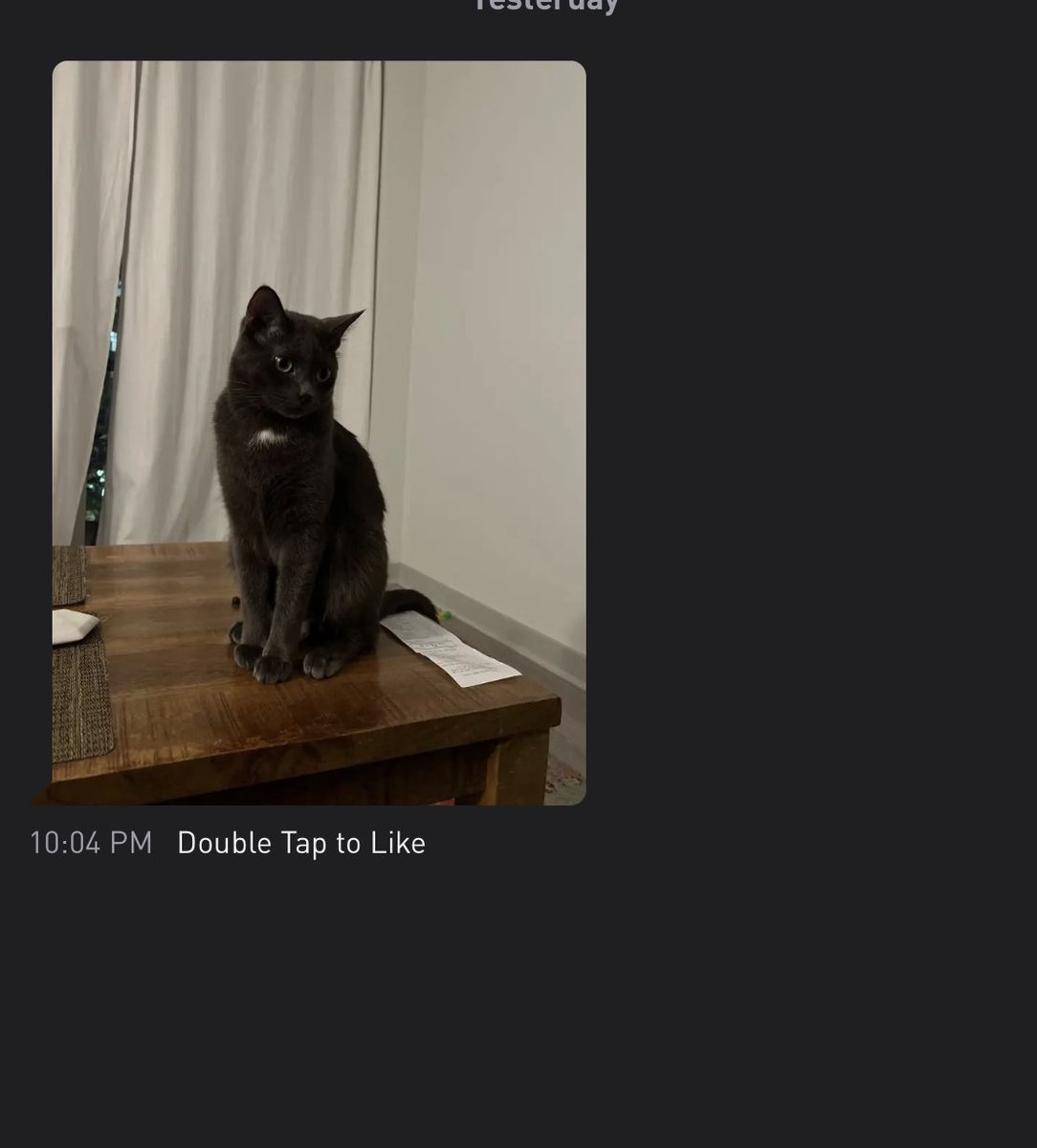 CatsofGrindr's tweet photo. https://t.co/wP2RS8lQox
