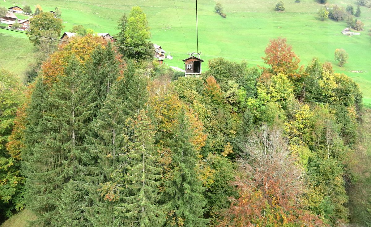 standseilbahnen's tweet photo. Dallenwil - Wiesenberg - a little paradise in Switzerland - ein kleines Paradies in der Schweiz - öffentliche Luftseilbahn Wiesenberg - Unterschwändli - ein kleines Bijou 🙂😍 #cablecar #wiesenberg #seilbahn #luftseilbahn @nidwalden @1000Switzerland #switzerland https://t.co/OYmbLLdbie