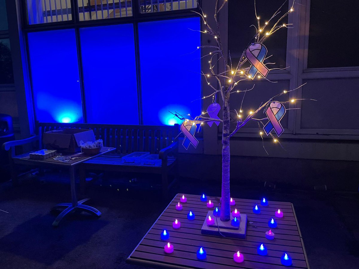 SomersetFT's tweet photo. Tonight’s Wave of Light marks the end of Baby Loss Awareness Week. 

Our colleagues at both Musgrove Park and @YeovilHospital paused at 7pm to light a candle, and remember all the little lives lost too soon. 💙💜 #BLAW2022 https://t.co/RbxWsc82F3