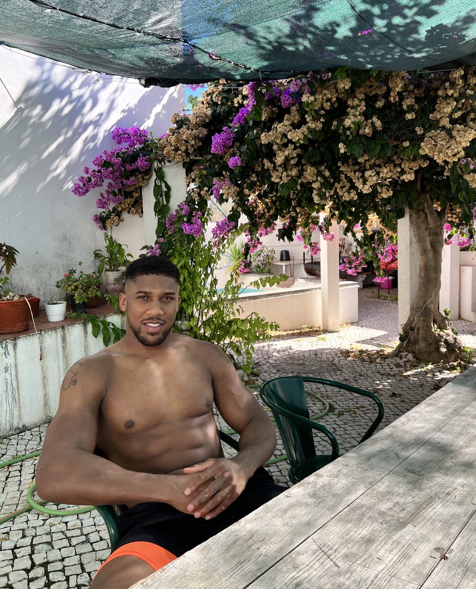 Anthony Joshua tweet media