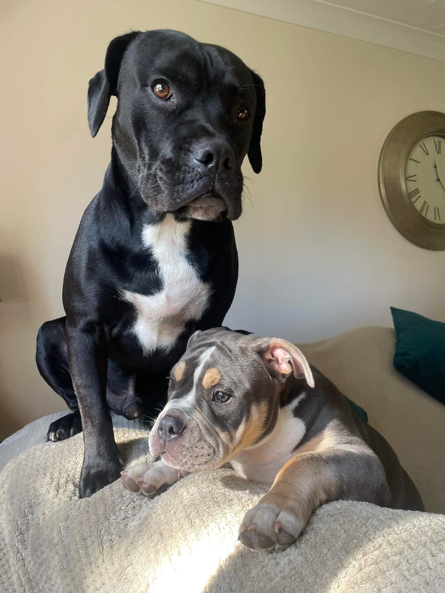 Are my boys not just awesome? 💕❤️