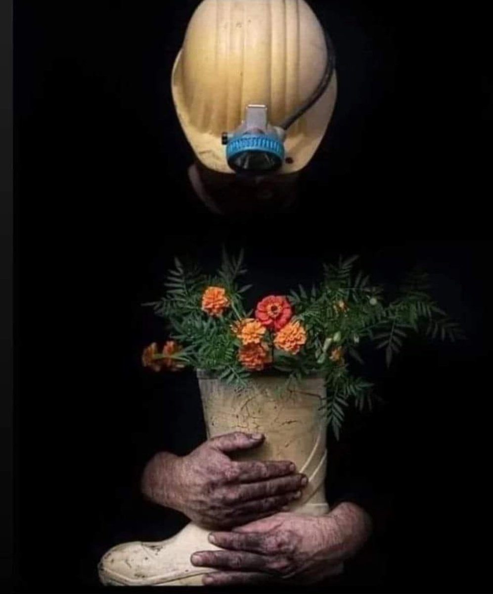 Serttassedaa's tweet photo. Karanlıklar içinde yaşadınız nurlar içinde yatın..
#bartin #bartın https://t.co/FVSncOer1v