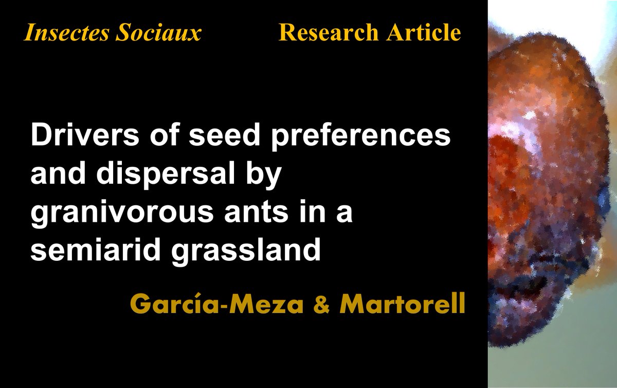 InsSociaux's tweet photo. García-Meza and Martorell assess seed dispersal in two species of ants in the genus Pheidole in #Mexico. 
Read the article here: https://t.co/KBBkLKtzLA
#optimalforaging #seeddispersal #seedfate #granivory #ants https://t.co/NaOfov70kV