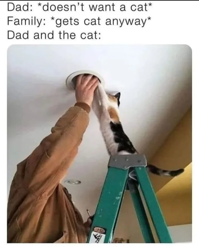 WholesomeMeme's tweet photo. https://t.co/ODqnvEfAIU