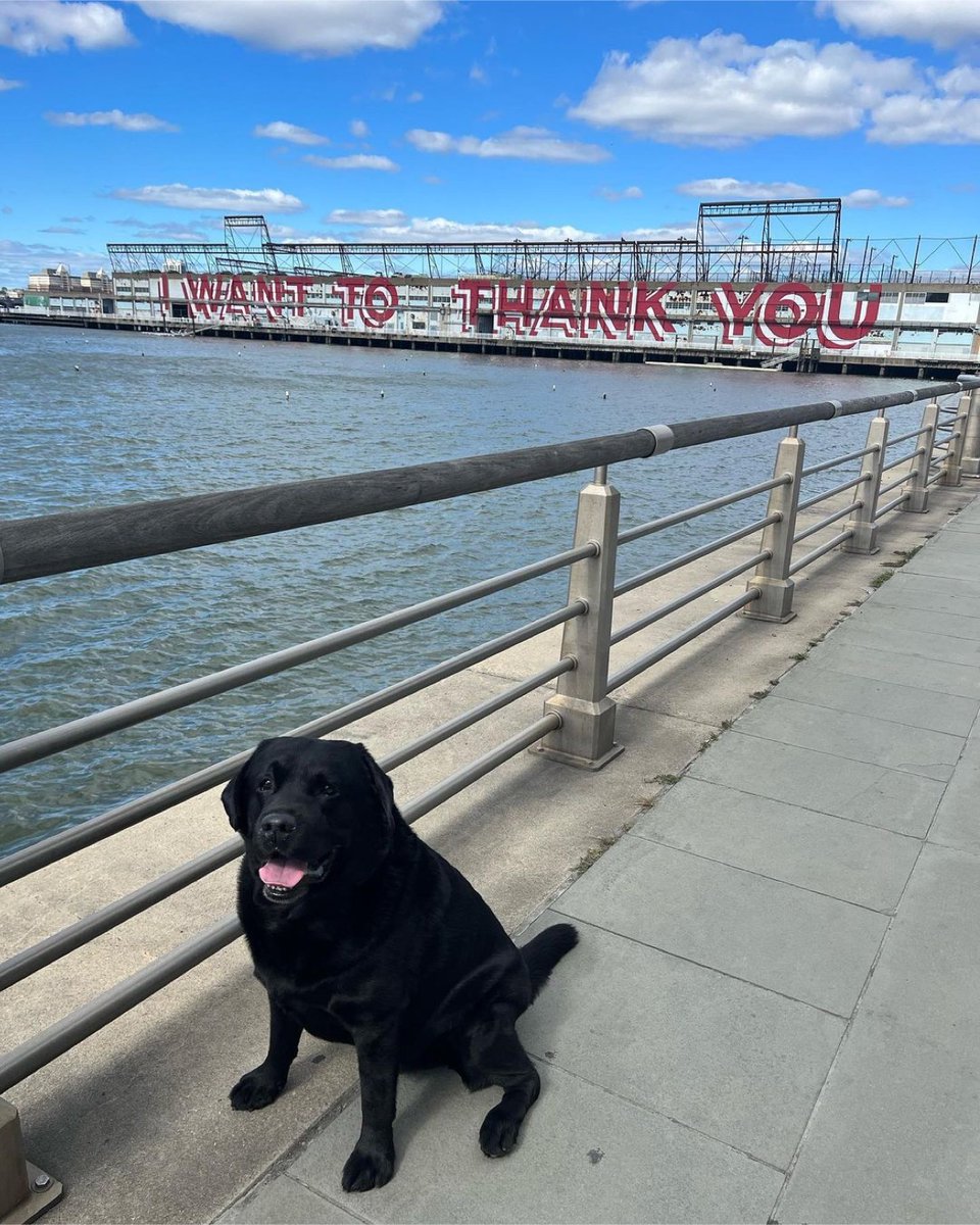 We Want To Thank You, Sherman the City Dog, for this gorgeous pic of the @steveespopowers X (RED) mural in NYC. Created as part of our 2019 #PaintRedSaveLives campaign, the mural serves as a reminder—in Powers’ words—“of what we can achieve together.” 📸: IG/@shermanthecitydog