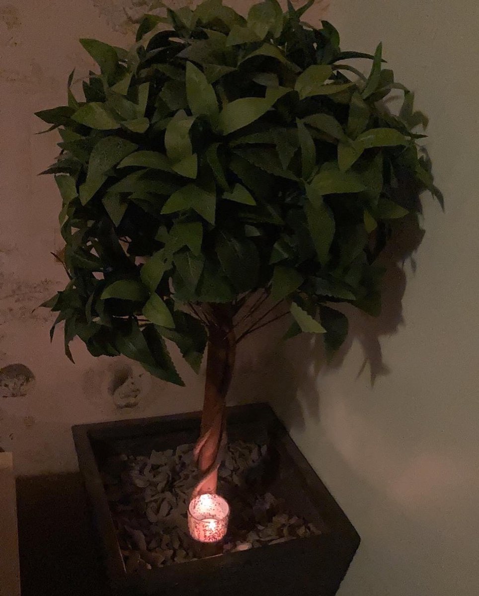 BexyHall's tweet photo. #WaveOfLight #BabyLossAwarenessWeek 💚 https://t.co/NOlmAA18nG