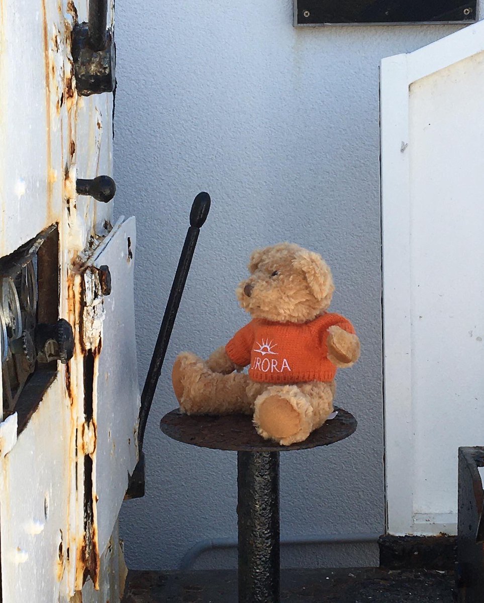 wearingpurple59's tweet photo. We all enjoyed our visit to @solana.nin we found lots of goodies to bring home &amp; Bertie Bear enjoyed riding the machinery on @pandocruises excursion #saltpans #solananin  #salt #flowersalt #dalmationspices #nin #zadar #croatia #foodie #teddybear #pandocruises #cruiseexcursion https://t.co/VHVtm0lHjy