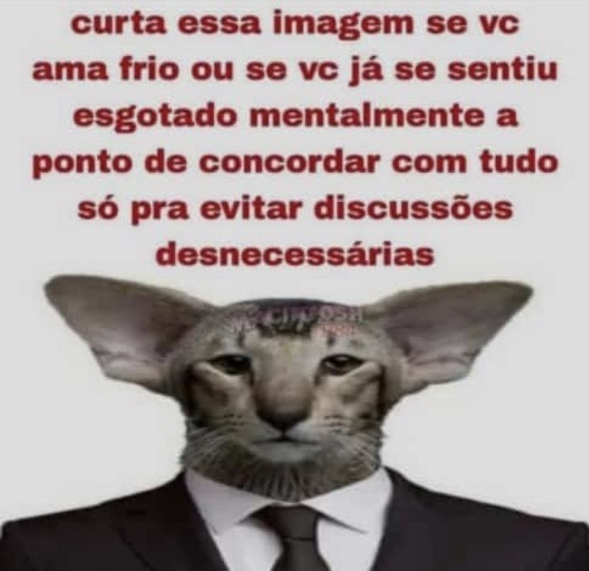 luiz abreu o ex-triste 🐊☔️ (@abreueumesmo) on Twitter photo 