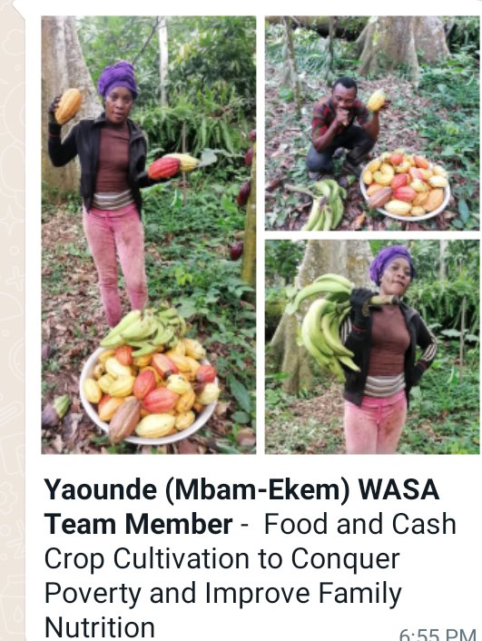 Sa'ah Evelyne tweet media