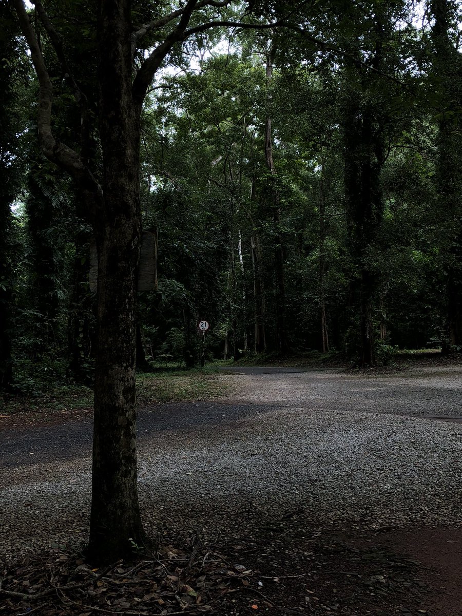 jern (@gioclzn) on Twitter photo 