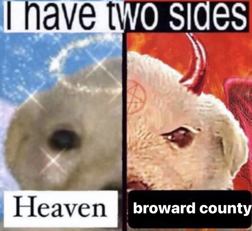 gabriela (@allergc2bunnies) on Twitter photo 