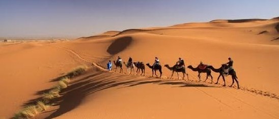 MemoTours's tweet photo. Rally's en Raids NAJAAR 2023 - https://t.co/uPgz2s0QTi https://t.co/cP6sQ1WNP7