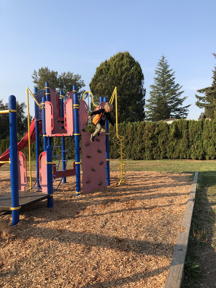 EricLangtonSD42's tweet photo. Students were pretty excited to see fresh wood chips on our playground- in fact they were jumping for joy. Thank you to the incredible grounds crew that looks out for our students. #softlanding @sd42news https://t.co/usJrmYUsvy