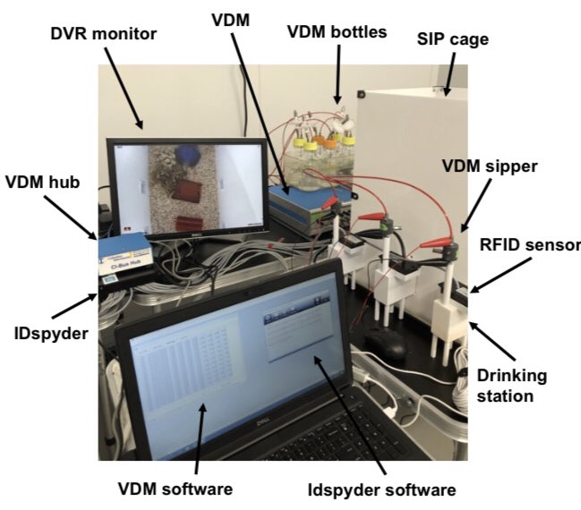 Abbie Schindler, PhD (@igelkase) on Twitter photo So excited to have this finally out! Our SIP system is open source and allows for group housed rodents to self-administer multiple substances with continuous monitoring and measurement. Great work by Katrina Wong Christina Wang <a href="/mcpatarino/">Makenzie Patarino</a> <a href="/BritahnyBaskin/">Dr. Britahny Baskin</a> and Janet Lee!!! So excited to have this finally out! Our SIP system is open source and allows for group housed rodents to self-administer multiple substances with continuous monitoring and measurement. Great work by Katrina Wong Christina Wang <a href="/mcpatarino/">Makenzie Patarino</a> <a href="/BritahnyBaskin/">Dr. Britahny Baskin</a> and Janet Lee!!!