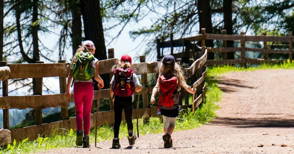 PN_Guadarrama's tweet photo. Algunas de la rutas y sendas de la Sierra de Guadarrama son relativamente cortas y no presentan grandes desniveles para poder disfrutarlas con niños. https://t.co/1G9ROs8FX9 

#ParqueNacional #SierradeGuadarrama #Rutas https://t.co/lNGLjatYAO