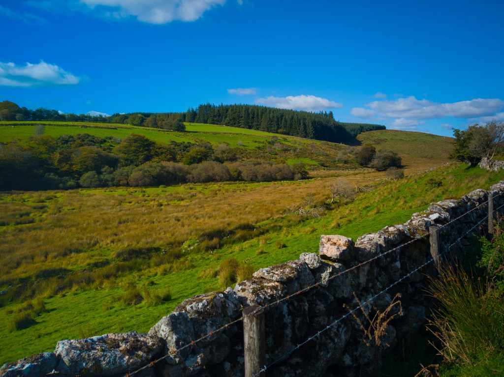 geckoafar's tweet photo. #ShareYourDream #Sweepstakes A dream trip of mine would be to take my parents to the UK and visit our favorite British TV show film locations! We'd love to see where they filmed Doc Martin, All Creatures Great &amp; Small, Downton Abbey, Father Brown, etc. How cool! @AmericanAir https://t.co/SJnTlAkiFE