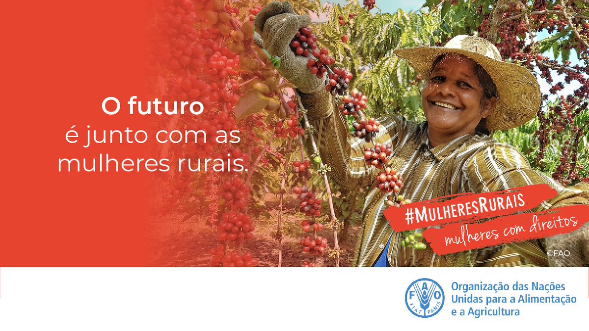 #DiaDasMulheresRurais

As mulheres são essenciais para alcançar sistemas alimentares sustentáveis, produtivos e inclusivos, bem como para alcançar a agenda 2030. 

#MulheresRurais #MulheresComDireitos
@MujerRuralALC @ONUBrasil