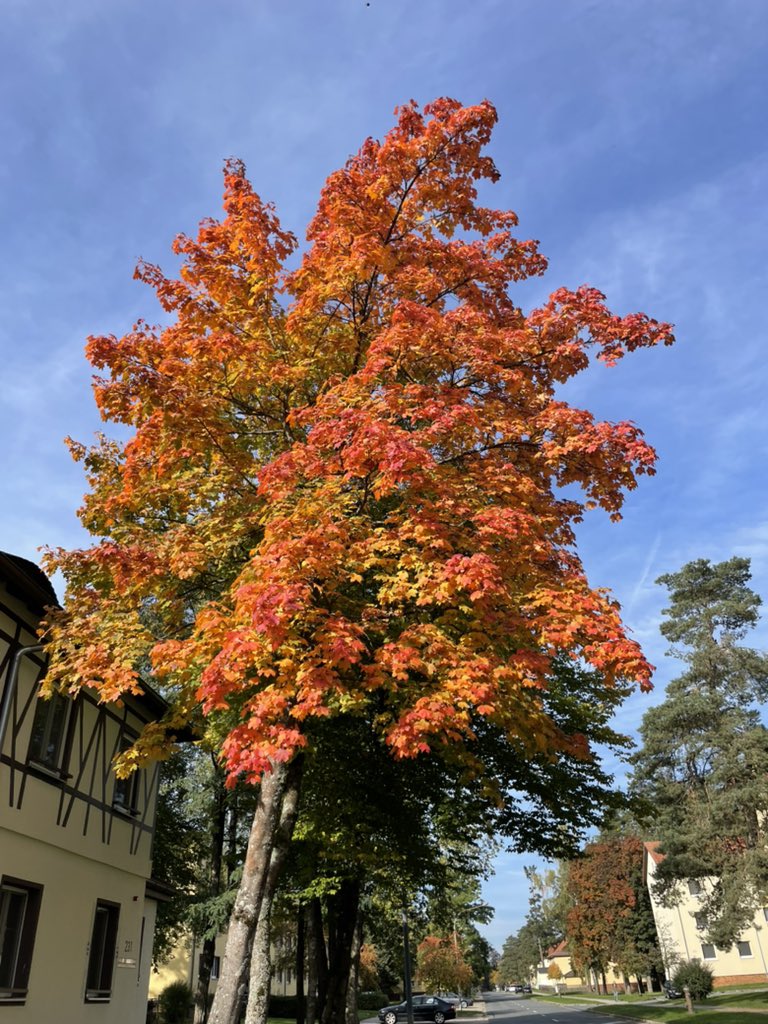 itsrlu's tweet photo. My favorite season 🍁🍂 #AutumnVibes https://t.co/PqnVyXXYCD