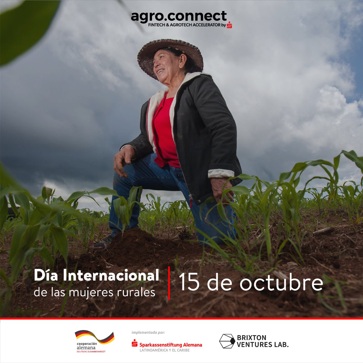 ConnectAgro's tweet photo. ¡Hoy se conmemora el Día Internacional de las Mujeres Rurales! 🌱👩‍🌾

En agro.connect, buscamos ser parte de las acciones para disminuir las brechas de género y fomentar el desarrollo de las mujeres en el campo a través del acceso justo e igualitario a servicios financieros. 🙌 https://t.co/7rHLrGGgCy