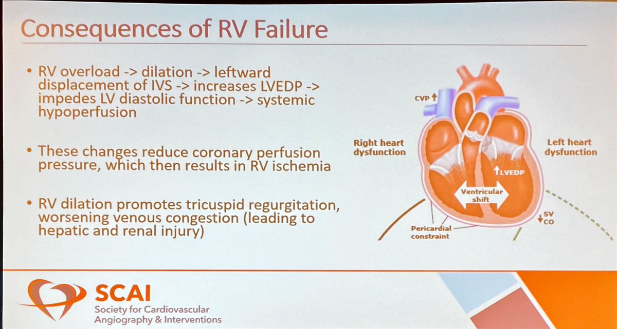 JuliettePower44's tweet photo. RV Shock with @SarahGorgis
⚡️ Identify RV failure early
⚡️ Goal: CPO >0.6, PAPI>1 with 24 hrs ➡️ improved survival (80%)
⚡️ Optimize preload, afterload, contractility, and synchrony
⚡️ Consider RV-MCS https://t.co/ADZ5uCmsNE