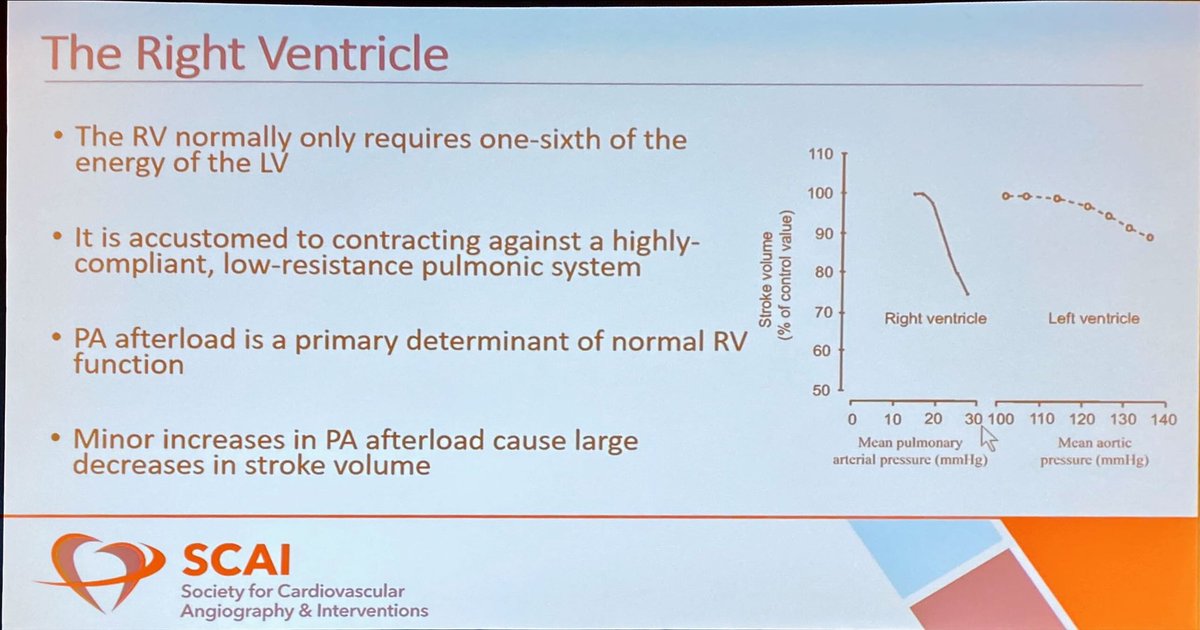 JuliettePower44's tweet photo. RV Shock with @SarahGorgis
⚡️ Identify RV failure early
⚡️ Goal: CPO >0.6, PAPI>1 with 24 hrs ➡️ improved survival (80%)
⚡️ Optimize preload, afterload, contractility, and synchrony
⚡️ Consider RV-MCS https://t.co/ADZ5uCmsNE