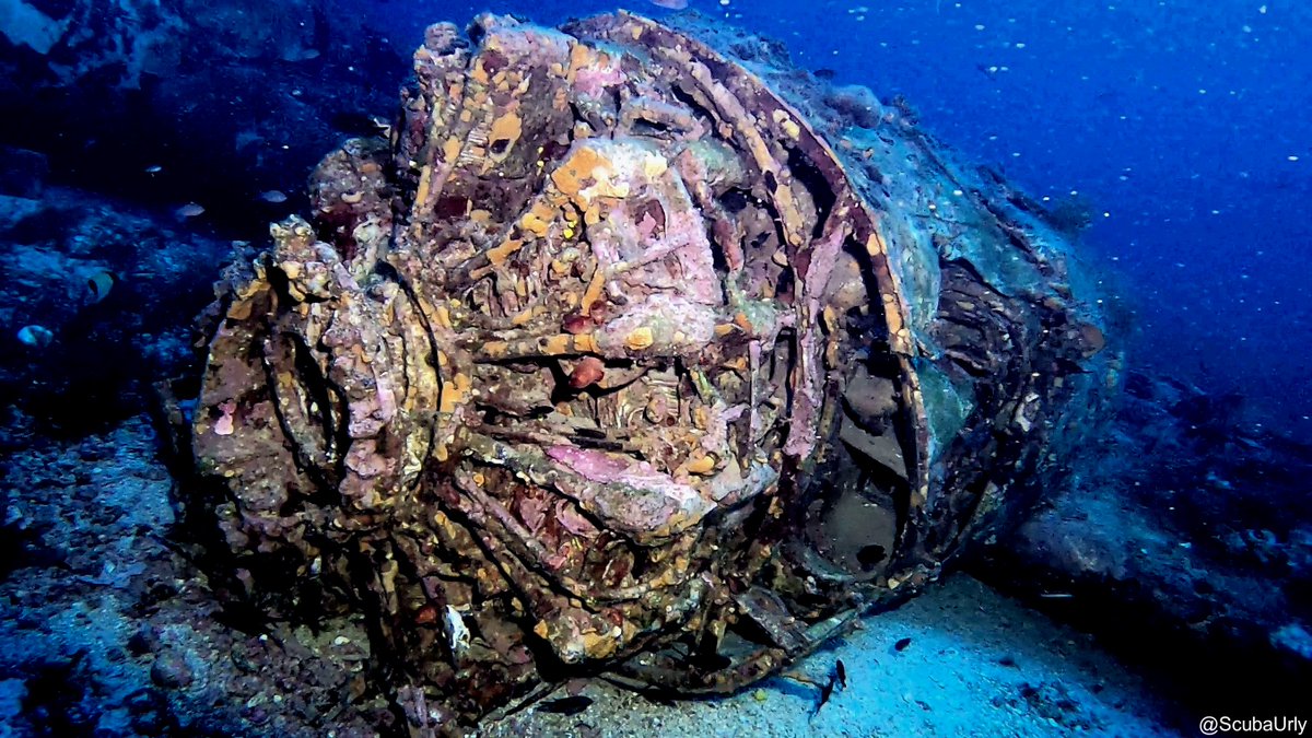 ScubaUrly's tweet photo. Engine of B-24 Bomber plane wreck 🛩️🤿🫧
#scuba #diving #scubadiving #ocean #uwphotography #underwater #plane #b-24 #wreck https://t.co/BfxzyqSyt3