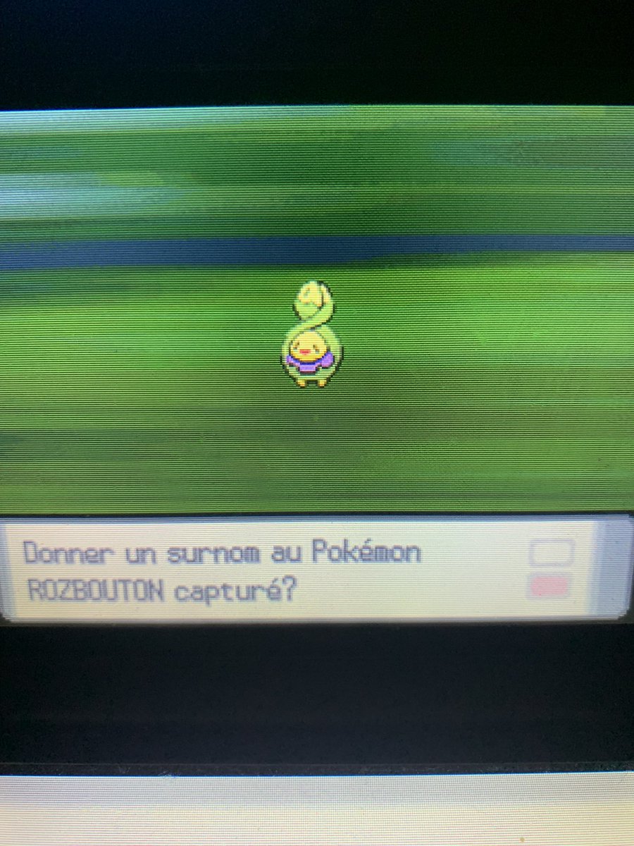 rift619's tweet photo. 377 ème shiny de la collection obtenu en 5702 rencontres il évoluera en roselia et complètera la famille ! https://t.co/pa17h4MROv