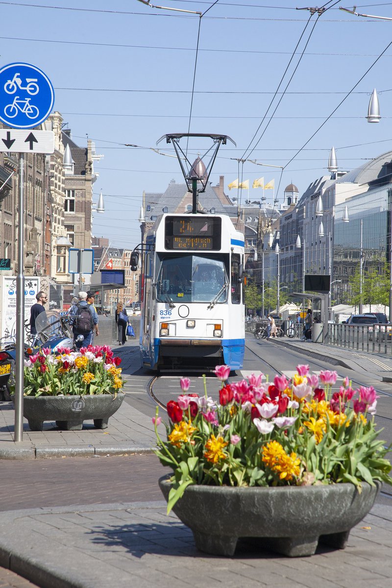 Going with the Tram in Amsterdam, not sure how to use? Check our reel on Instagram ⬇️
instagram.com/p/CjssEgvoEIv/

or read about it on our website ⬇️
xohotels.com/public-transpo…

See you soon?
#xohotels #gvb #amsterdam #hotelsoftheworld #bookdirect #tram #bus @gvbnieuws <a href="/visitamsterdam/">visitamsterdam</a>