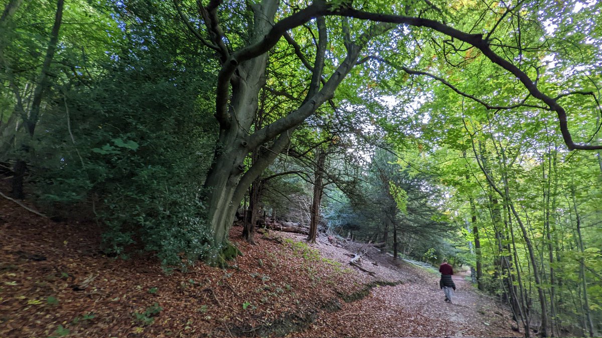 SlowWaysUK's tweet photo. What's your favourite quote about the value of walking? https://t.co/DXhJZPiwX0
