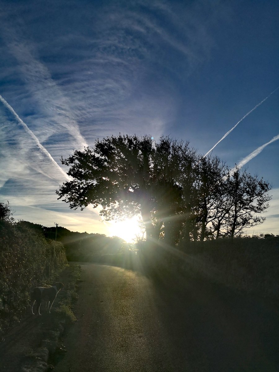 BareFootPhotographer 👣 tweet media