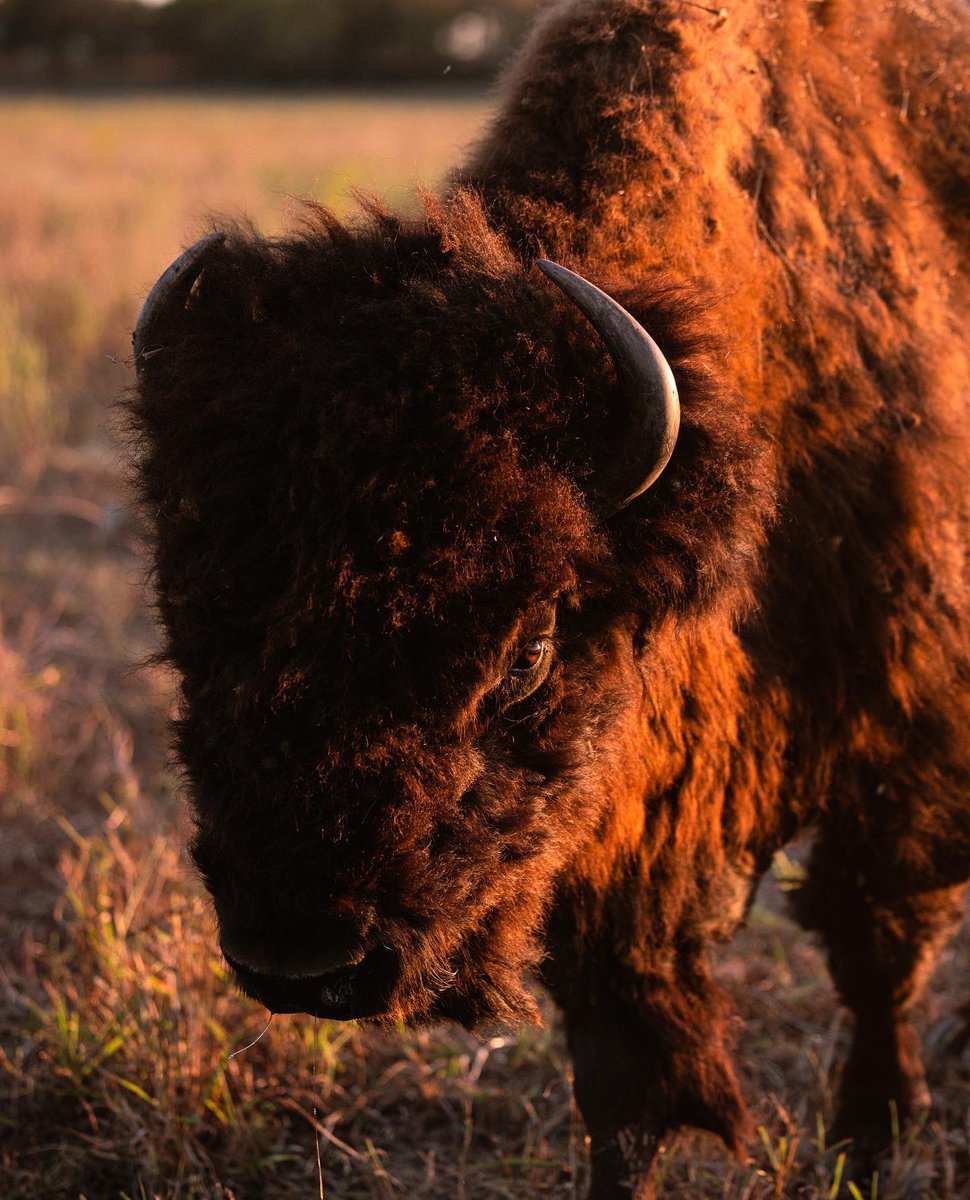 𝙂𝙖𝙧𝙧𝙚𝙩𝙩 𝙁𝙖𝙞𝙨𝙤𝙣 tweet media