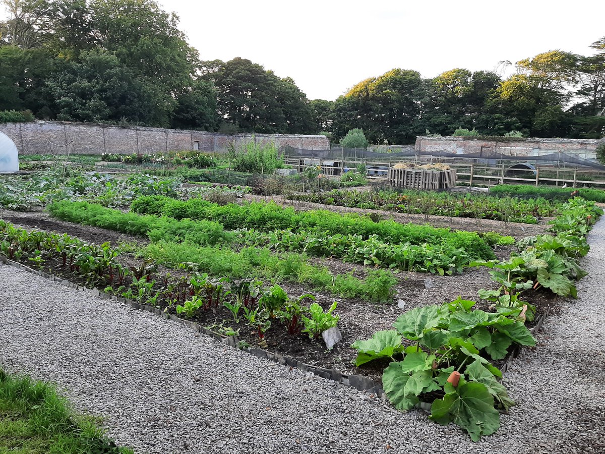 The MICHELIN Guide tweet media