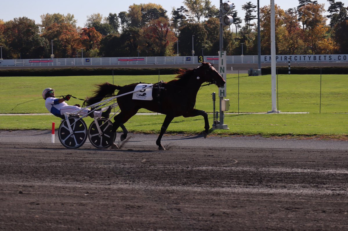 YonkersRaceway's tweet photo. Cokstile (Norway) wins the $1,000,000 MGM Yonkers International Trot in 2:23 for owner Scuderia Santese Srl and trainer Mattia Orlando.

@equidia @LeTrot @USTrotting https://t.co/7D58Cz8xVL