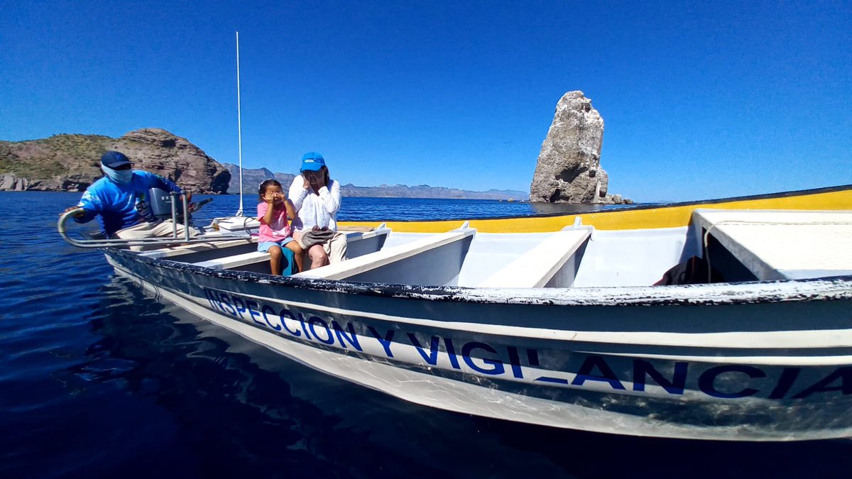 Gabriela Anaya tweet media