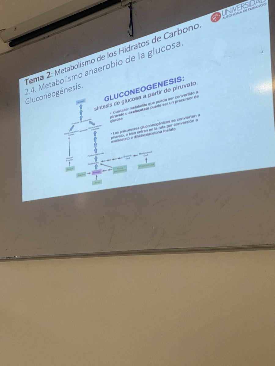 yairPayan's tweet photo. Años evadiendo este pedo, para venir a mis 30 a estudiarlo 🙃🙃 https://t.co/gK0Kb22bNN