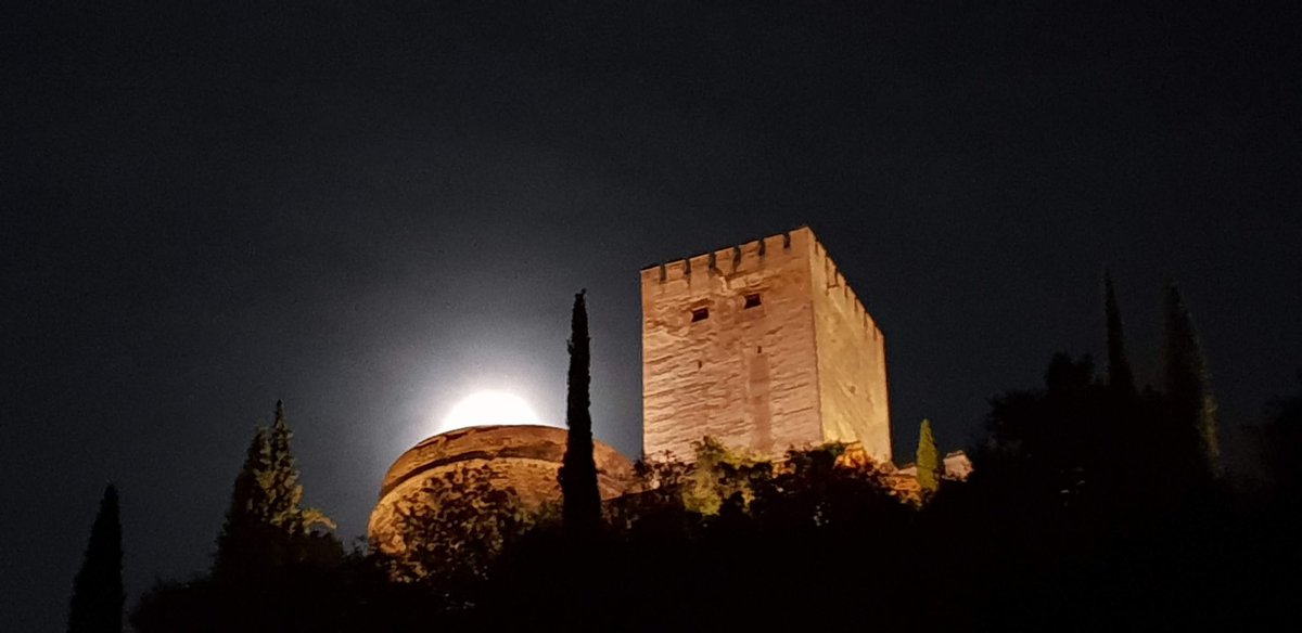 Rafael Nieto Serrano tweet media