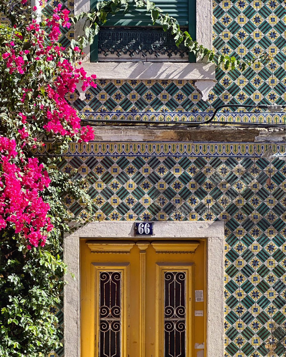coolbutstinky's tweet photo. some tile doorways in Lisbon https://t.co/AguIIqGbEB