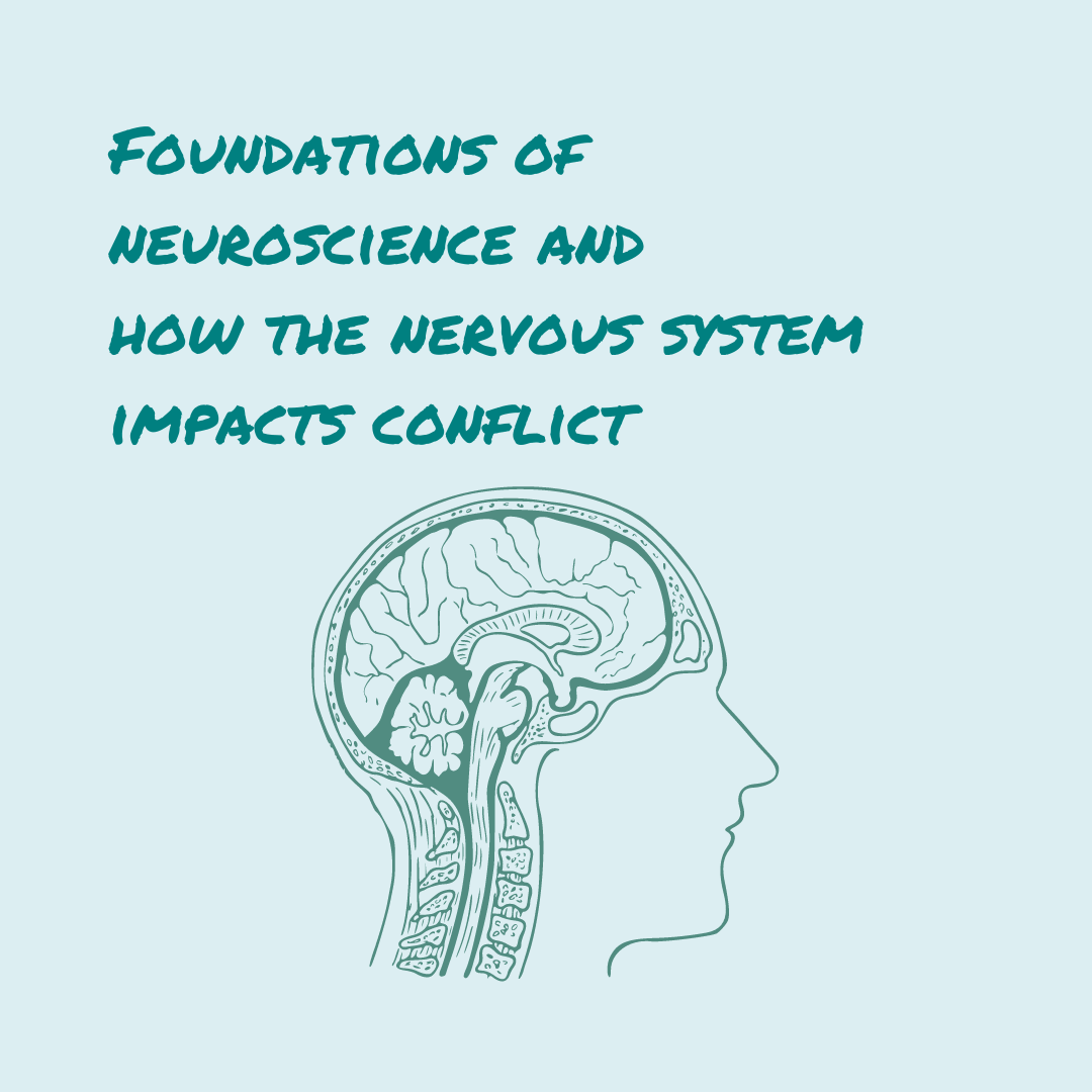 Foundations of Neuroscience and How the Nervous System Impacts Conflict  regulation