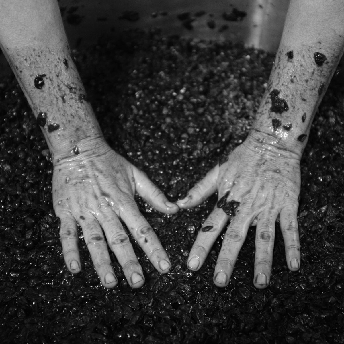 palomagmb's tweet photo. Día internacional de las mujeres rurales.
Derechos humanos me dijeron q eran universales e indivisibles, pero por pedir uno, el de la salud no nos vendría mal. 
Gracias a quienes me acuerpan en esa identidad. https://t.co/ZksKrlSr8c