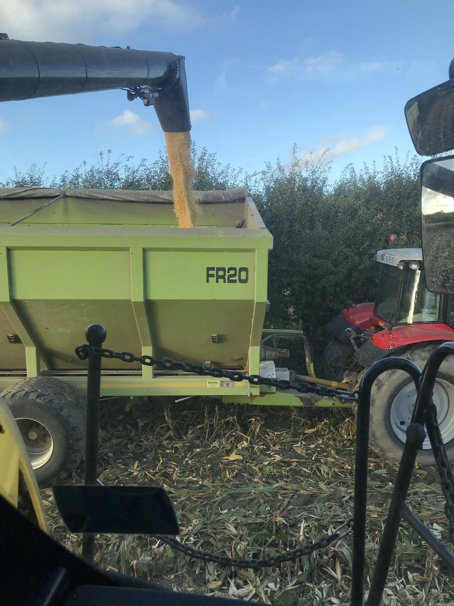 garrettmalt's tweet photo. @ChurchOfOak Just livin’ the dream🌽😅😎 https://t.co/Ul0KRfR1t3