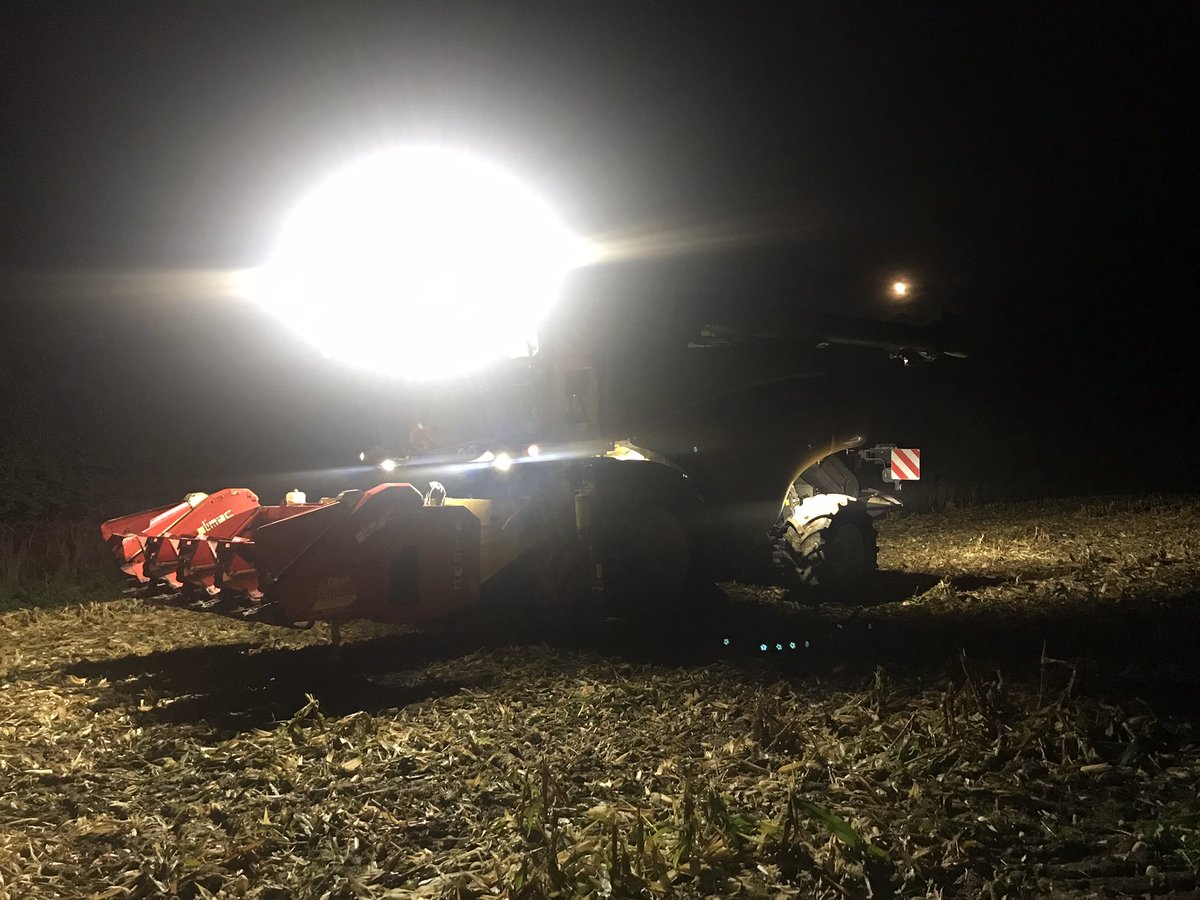 garrettmalt's tweet photo. @ChurchOfOak Just livin’ the dream🌽😅😎 https://t.co/Ul0KRfR1t3